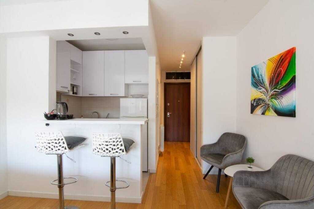 A Blok New Modern - Free Garage Parking, Comfortable, Quiet With A Park View Белград Экстерьер фото